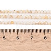 Natural Freshwater Shell Beads Strands X-SHEL-T011-02-4mm-4