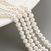 Natural Cultured Freshwater Pearl Beads Strands PEAR-C003-05C-2