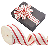 Polyester Stripe Ribbon OCOR-WH0109-368D-1