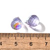 Transparent Glass Charms GLAA-P070-A03-4