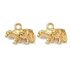 304 Stainless Steel Charms STAS-I367-10G-1