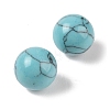 Synthetic Turquoise No Hole Sphere Beads G-K353-04A-12-2