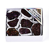 8~12Pcs Electroplated Natural Coal Quartz Geode Cornucopia Mineral Specimen G-N360-03B-1