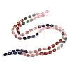 Cherry Quartz Glass & Natural Red Jasper & Sodalite & Green Strawberry Quartz & Rhodonite Beads Strands G-Z135-A06-3