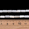 Natural Freshwater Shell Beads Strands SH-CBA2978-21B-4