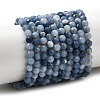 Natural Blue Opal Beads Strands G-P603-C-4mm-04-2