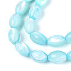Natural Trochus Shell Beads Strands SHEL-K006-19-01B-3