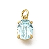 Brass Glass Charms KK-V011-33G-1