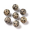 Natural Dalmatian Jasper No Hole Sphere Beads G-K353-04B-16-1