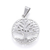 Tarnish Resistant 304 Stainless Steel Pendants LS-STAS-G126-16P-2