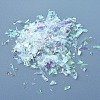 Plastic Candy Sequins/Paillette Chip DIY-I019-01O-2