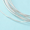 Dead Soft 925 Sterling Silver Wire STER-NH005-A-2
