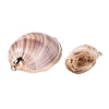 Electroplate Natural Spiral Shell Pendants SSHEL-Q100-35G-2