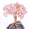 Natural Rose Quartz Chips and Fluorite Pedestal Display Decorations G-S282-05-2