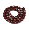 Natural Red Sesame Jasper Beads Strands G-Q601-13A-03-3