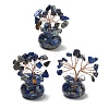 Natural Lapis Lazuli Chips Tree of Life Decorations DJEW-Z007-02S-1