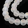 Transparent Frosted Glass Bead Strands LS-GLAA-T032-T8mm-MB13-3