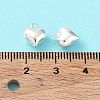 925 Sterling Silver Charms X-STER-H106-01A-S-5