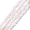 Natural Pearl Beads Strands PEAR-WH0012-01-1