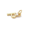 Brass Pave Clear Cubic Zirconia Charms KK-A273-01G-P-2