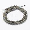 Natural Labradorite Beads Strands G-P322-30-6mm-2