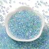 AB Color Plated Glass Seed Beads SEED-L011-06B-09-2