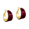 Brass & Acrylic Hoop Earrings FS-WG659A8-02-2
