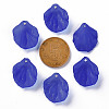 Transparent Frosted Acrylic Pendants MACR-S371-01A-751-3