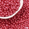 6/0 Glass Seed Beads SEED-L011-08A-22-1