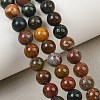 Natural New Ocean Jasper Bead Strands G-G954-01-8mm-9