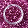 Glass Seed Beads SEED-S042-04A-03-2