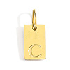 304 Stainless Steel Pendants STAS-Z143-01G-S-1