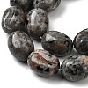 Natural Fluorescent Syenite Rock(Glow under UV Light)  Beads Strands G-K362-D02-03-4
