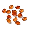 Natural Carnelian Cabochons G-F605E-18B-1