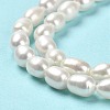 Natural Cultured Freshwater Pearl Beads Strands PEAR-E016-129-4