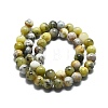 Natural Opal Beads Strands G-I356-A03-02-5