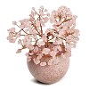 Natural Rose Quartz Chips Tree of Life Display Decorations GG-CBACC2B-02B-1