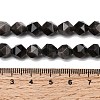 Natural Silver Obsidian Beads Strands G-Z119-A11-02-6