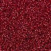 MIYUKI Delica Beads X-SEED-J020-DB0602-3