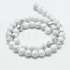 Natural Howlite Beads Strands G-T049-6mm-21-2