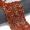 Natural Red Banded Agate Beads Strands G-K389-B16-01-2