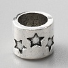 Alloy European Beads FIND-TAC0014-89G-1