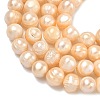 Natural Cultured Freshwater Pearl Beads Strands PEAR-L034-12E-4