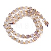 Natural Purple Phantom Quartz/Purple Lodolite Quartz Beads Strands G-Z147-A04-01-3