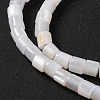 Natural Freshwater Shell Beads Strands BSHE-S304-08-3