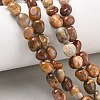 Natural Rainbow Petrified Wood Beads Strands GG-CBA9392-30-1