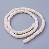 Natural Shell Beads Strands X-SSHEL-E571-49I-2