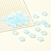 30Pcs Baking Paint Glass Beads GLAA-FS0001-99B-9