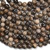 Natural Fossil Coral Beads Strands G-C288-A01-10mm-3