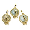 Natural Flower Amazonite Flat Round Shaped Brass Pendants KK-F887-03G-26-1